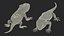Lizards Collection 3