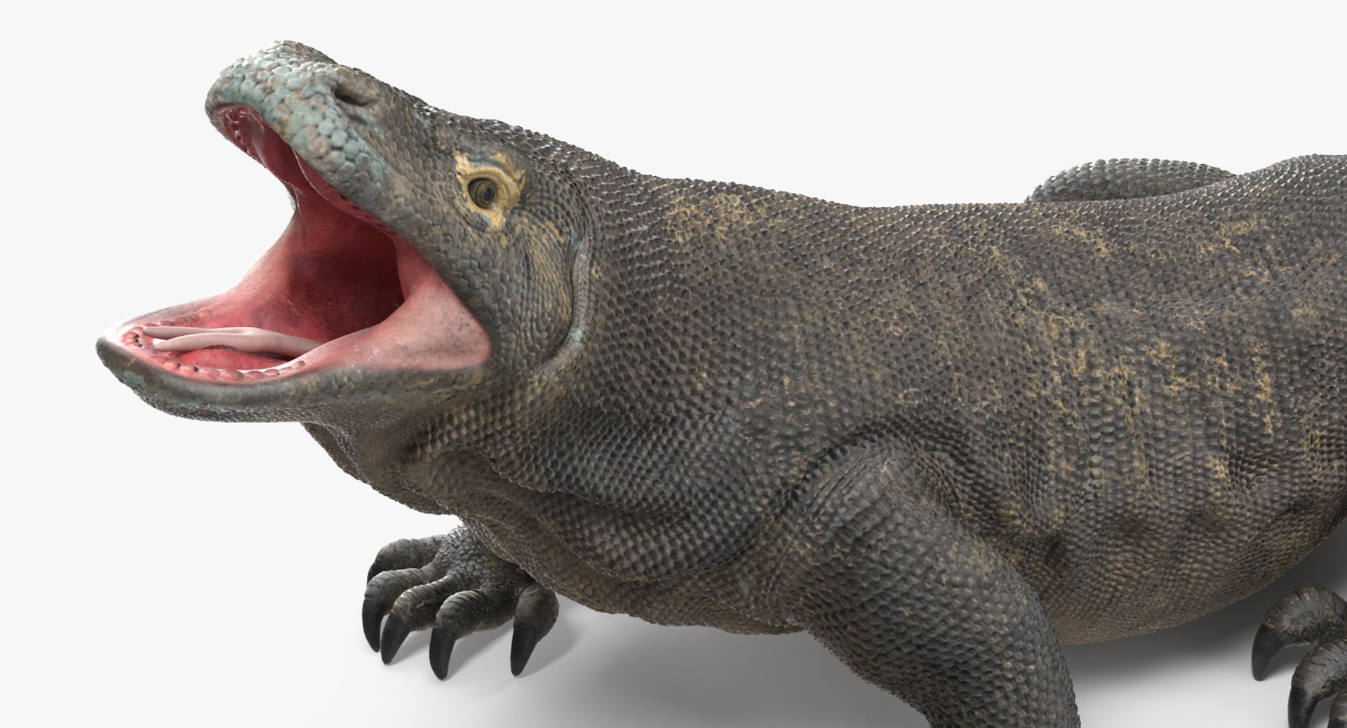 Lizards Collection 3 model https://p.turbosquid.com/ts-thumb/Yt/N7i13o/T7/lizardscollection33dmodel009/jpg/1664528819/1920x1080/fit_q87/af701ac26c85c90ea45091ba254f69a44d8d0b79/lizardscollection33dmodel009.jpg