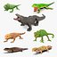 Lizards Collection 3