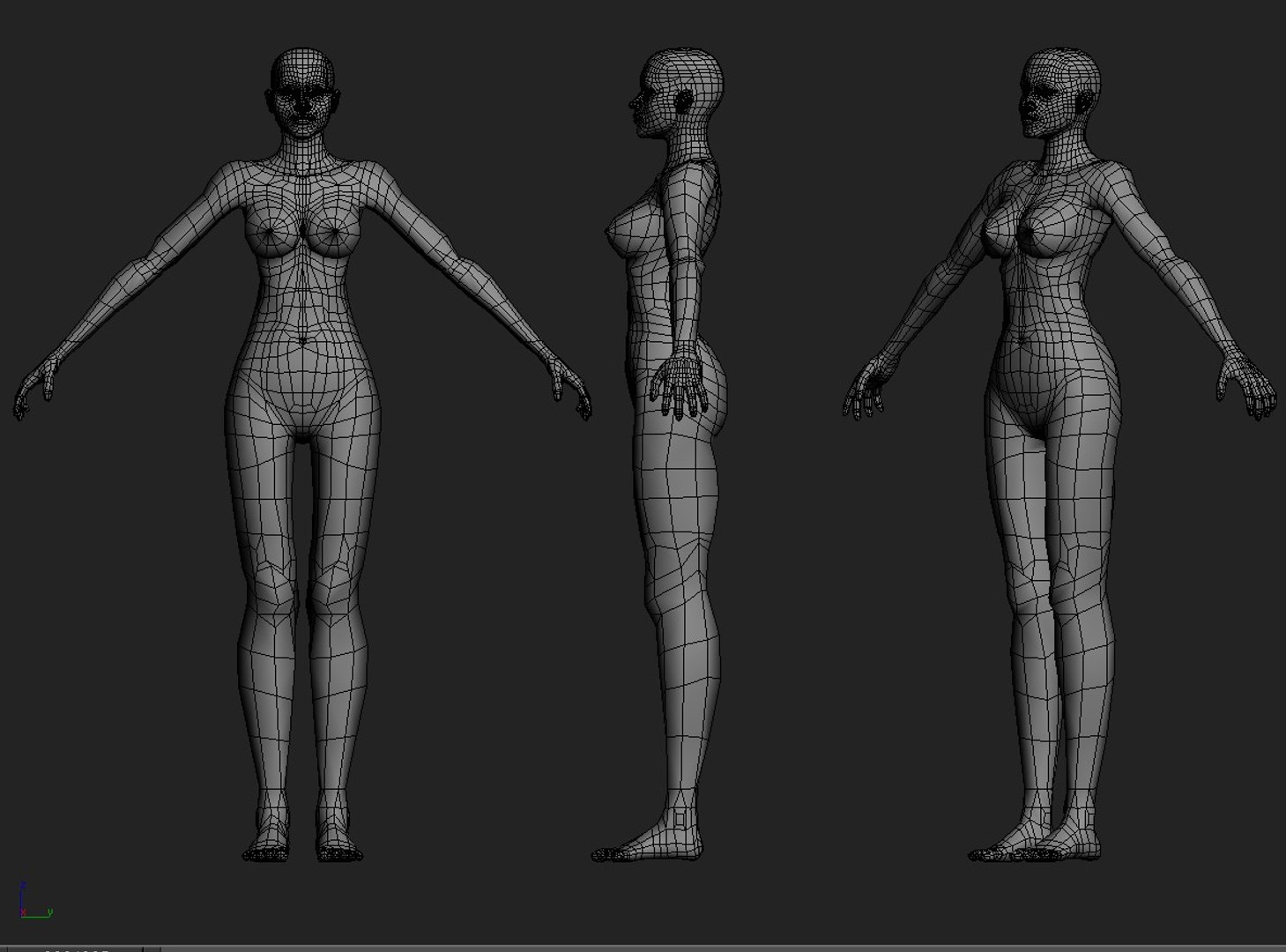woman body 3d model