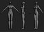 Woman Body
