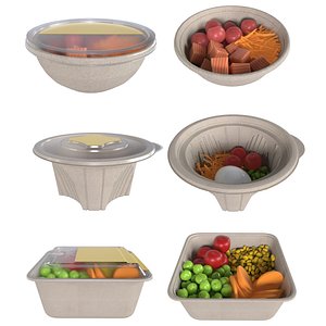 3D Healthy Food Container with label model