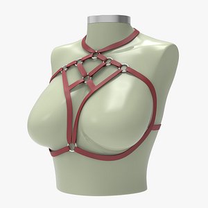 Sexy Red Bra