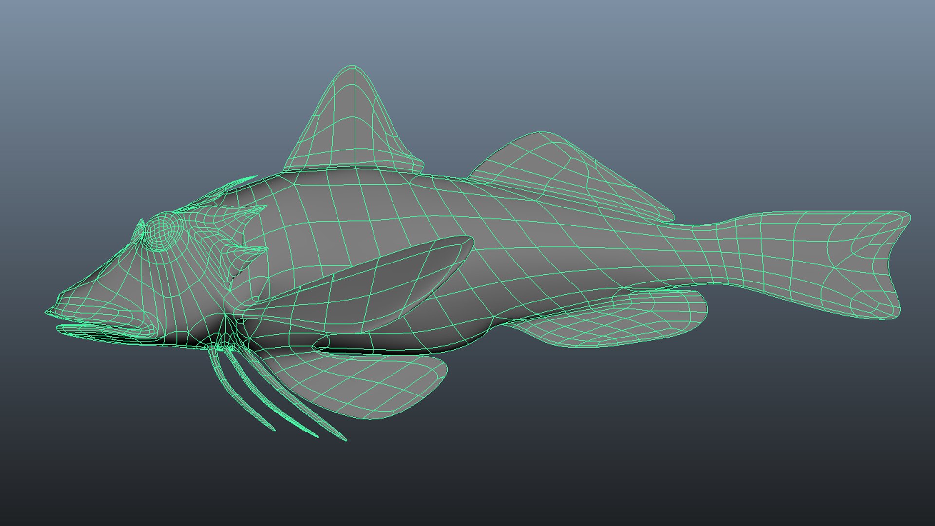 rough-searobin-model-turbosquid-1753324