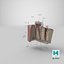 molar tooth section 3D model