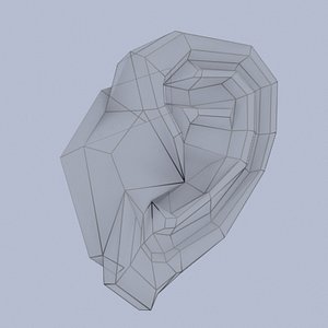 3d ears model