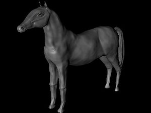 free horse animal 3d model