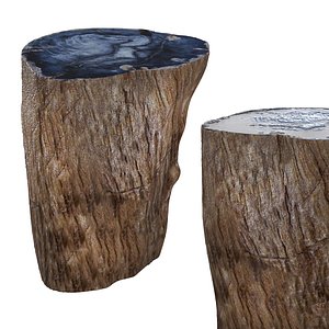 3D Wood fossil stool model
