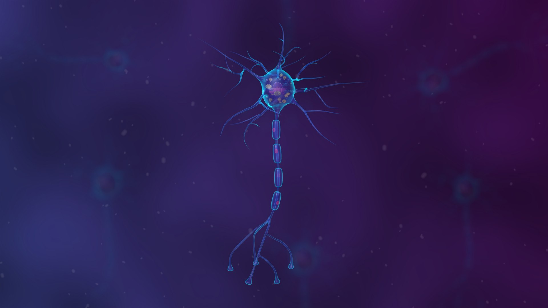 Anatomy Of The Neuron Model - TurboSquid 2170264