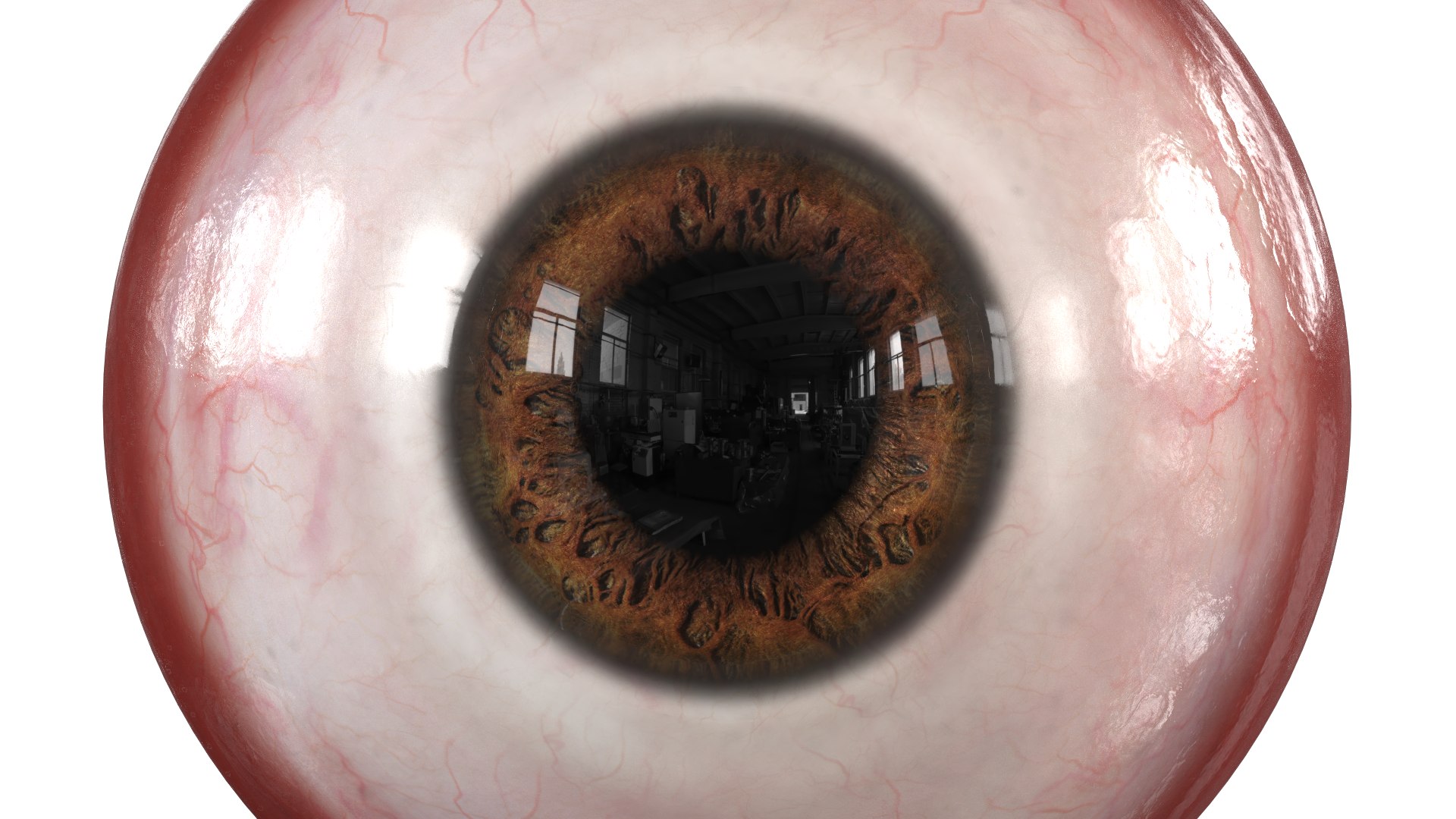 3D Human Realistic Eye Pupil Model - TurboSquid 1645566