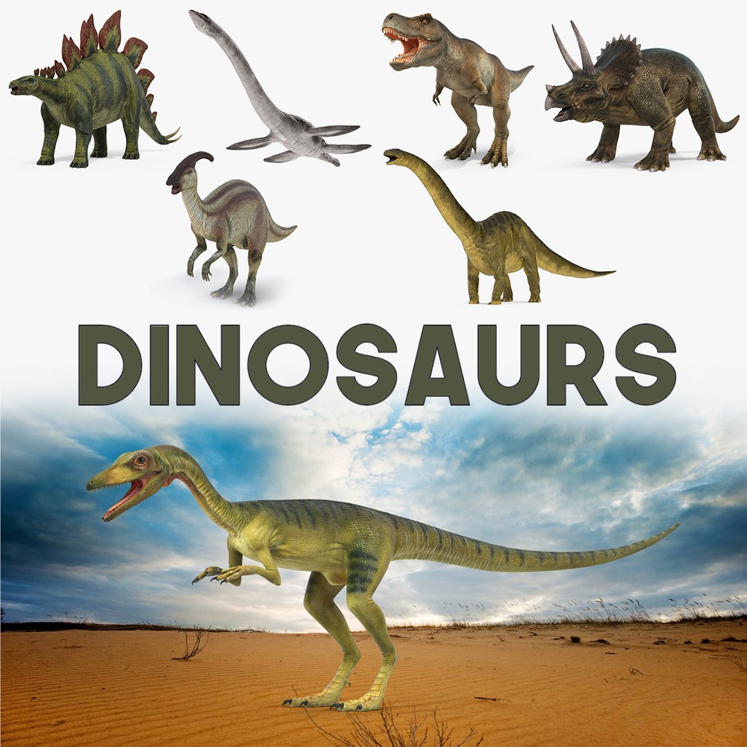 Dinosaurs 3D Models Collection 2 3D model preview