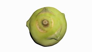 3D model kohlrabi scan scanner