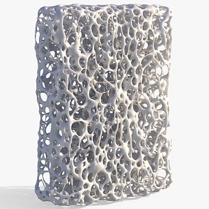 3D model Bone Structure Sponge