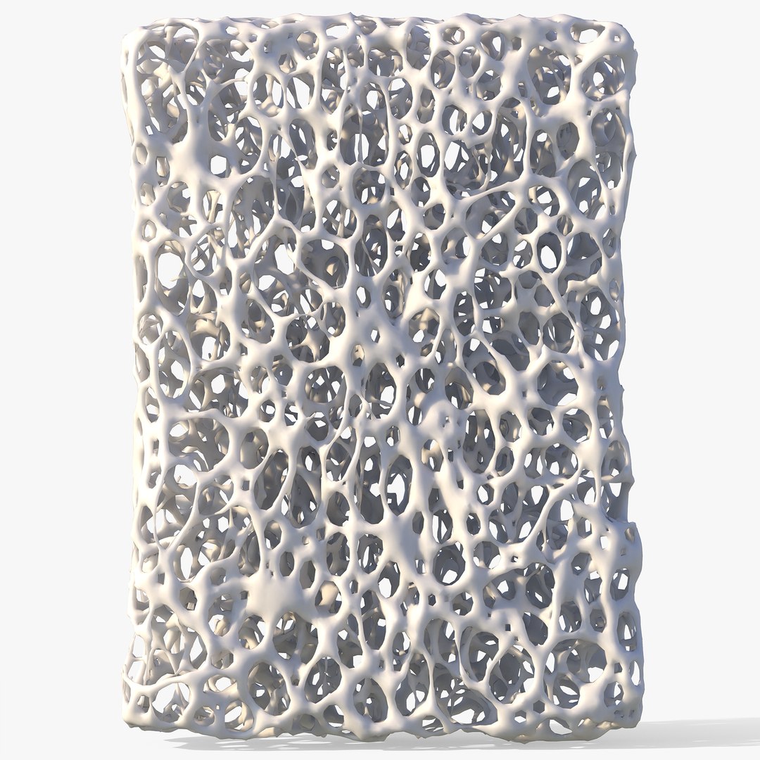 3D Model Bone Structure Sponge - TurboSquid 1823021