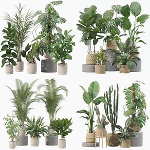 20 Photorealistic Flowers for Interiors - set 202 209 211 213 3D model