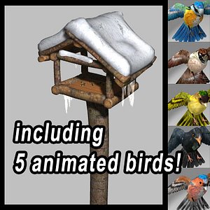 3d birdhouse animations 5 birds