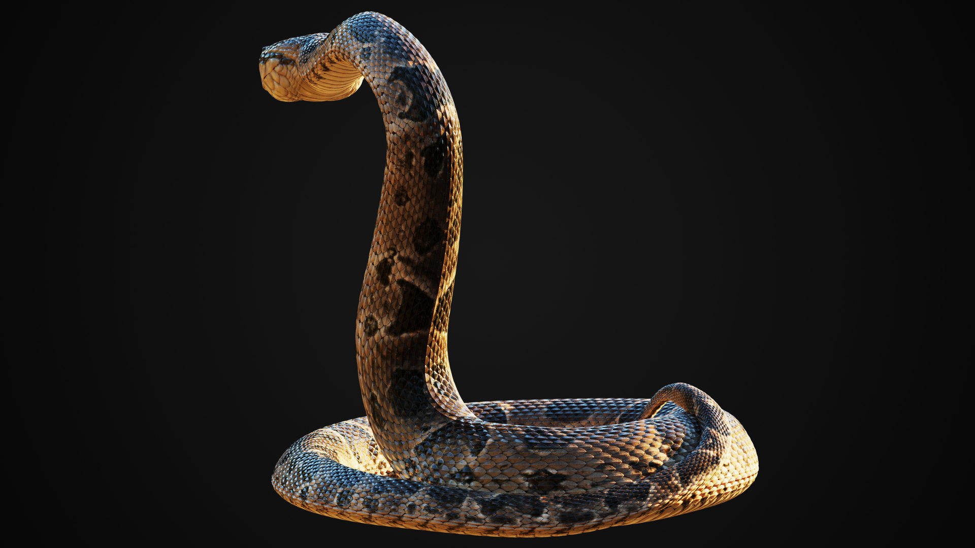 3D Model Realistic Snake - TurboSquid 1277884