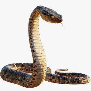 Cobra Snake 3d model Object files free download - modeling 44849 on CadNav