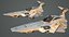 Nave - Scout 27