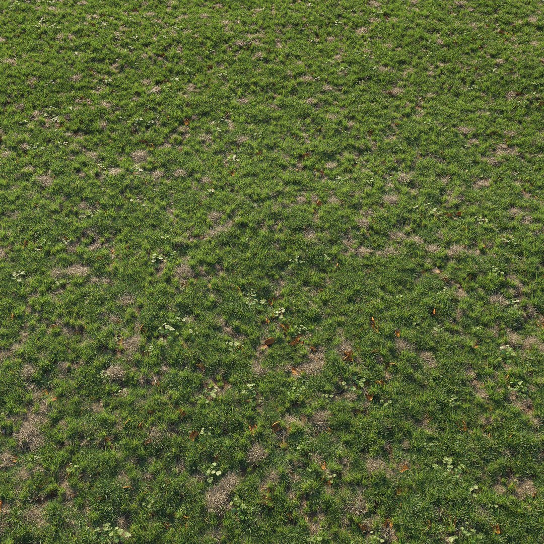 3D Patchy Green Grass Corona Scatter model https://p.turbosquid.com/ts-thumb/Yv/CEAsGy/HP/grass002/jpg/1735564964/1920x1080/fit_q87/685b1e241a7a2d19099cbfaf350ae3f6539e653f/grass002.jpg