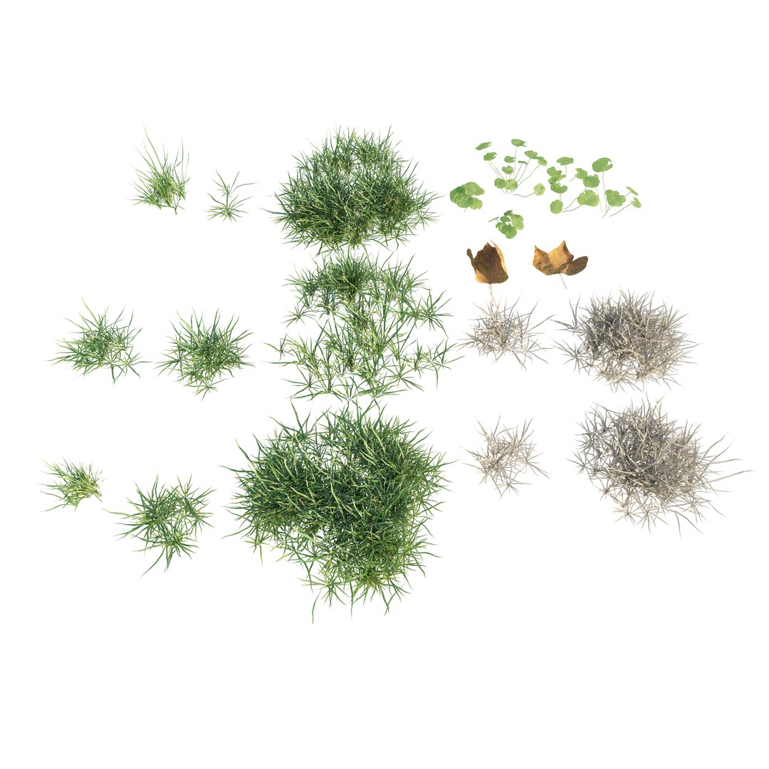 3D Patchy Green Grass Corona Scatter model https://p.turbosquid.com/ts-thumb/Yv/CEAsGy/e1/grass005/jpg/1735564964/1920x1080/fit_q87/7e3cdd62c8ce48f528f066edd5a566da96a93300/grass005.jpg