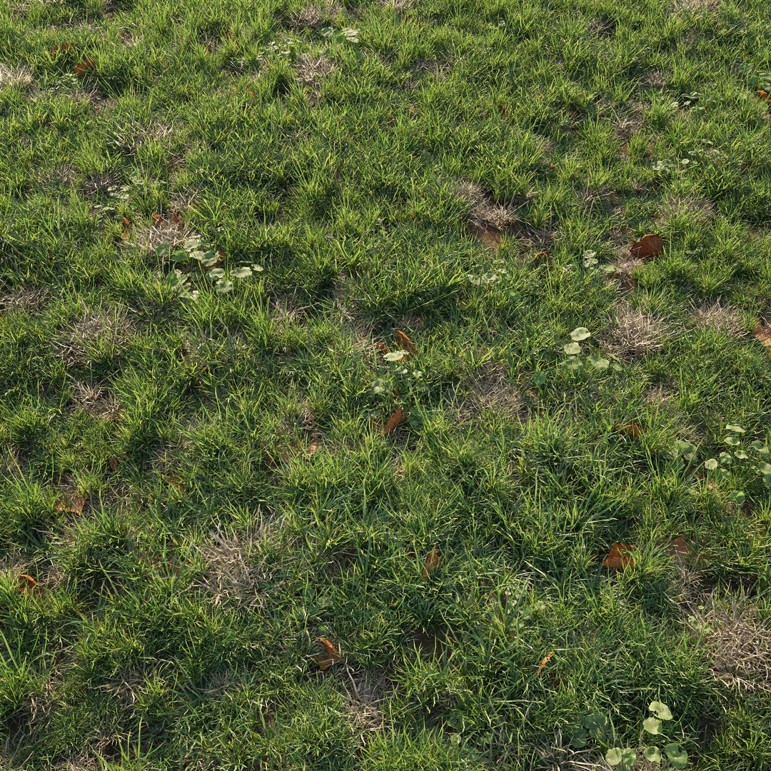 3D Patchy Green Grass Corona Scatter model https://p.turbosquid.com/ts-thumb/Yv/CEAsGy/fj/grass001/jpg/1735564961/1920x1080/fit_q87/5cb1743ff048c7411507ca939a909d049e57fbe8/grass001.jpg