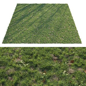 3D Patchy Green Grass Corona Scatter model