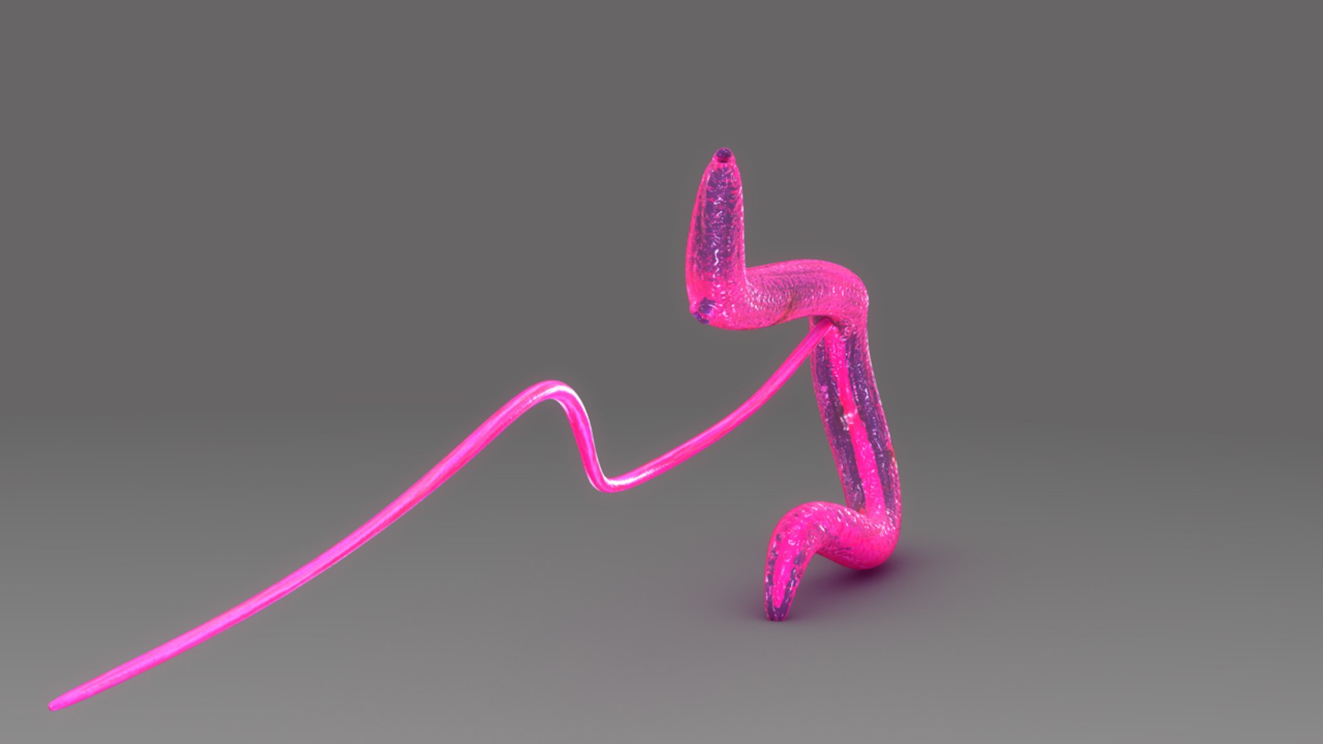 schistosoma haematobium 3d obj https://p.turbosquid.com/ts-thumb/Yv/CP3EH1/0c2mc1FE/b0449schistosomahaematobium_aerial.0001/jpg/1475749803/1920x1080/fit_q87/3a5cea79811c477ec5aa5400dd163acb7d345ee5/b0449schistosomahaematobium_aerial.0001.jpg