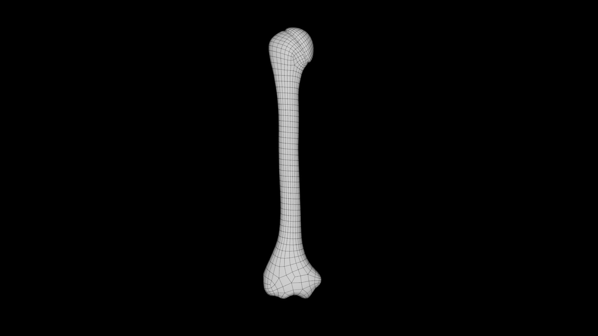 Human Anatomy-skeletal System-Humerus Upper Limb 3D Model - TurboSquid ...