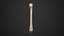 Human Anatomy-skeletal system-Humerus upper limb 3D model