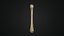 Human Anatomy-skeletal system-Humerus upper limb 3D model