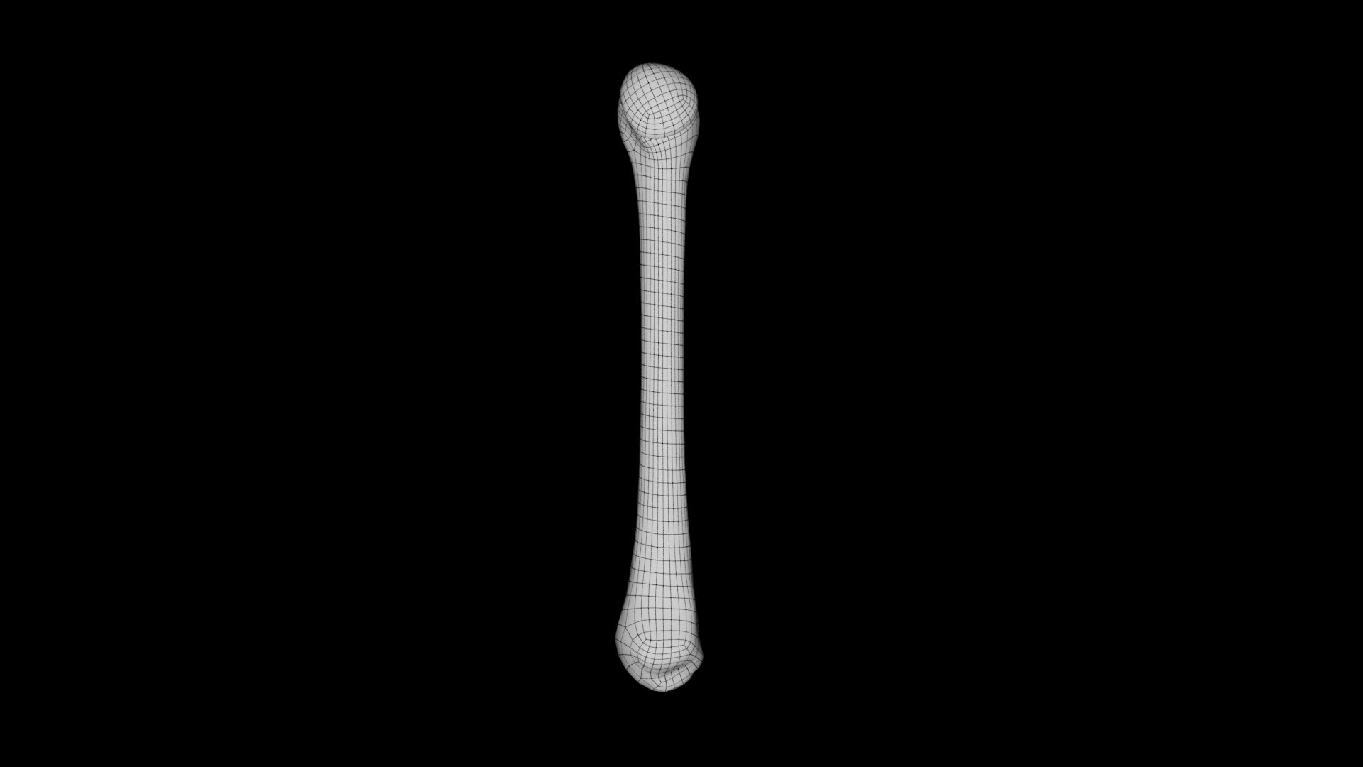 Human Anatomy-skeletal System-Humerus Upper Limb 3D Model - TurboSquid ...
