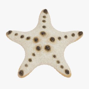 chocolate chip starfish 3D model