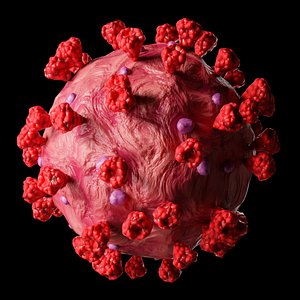 coronavirus covid-19 model