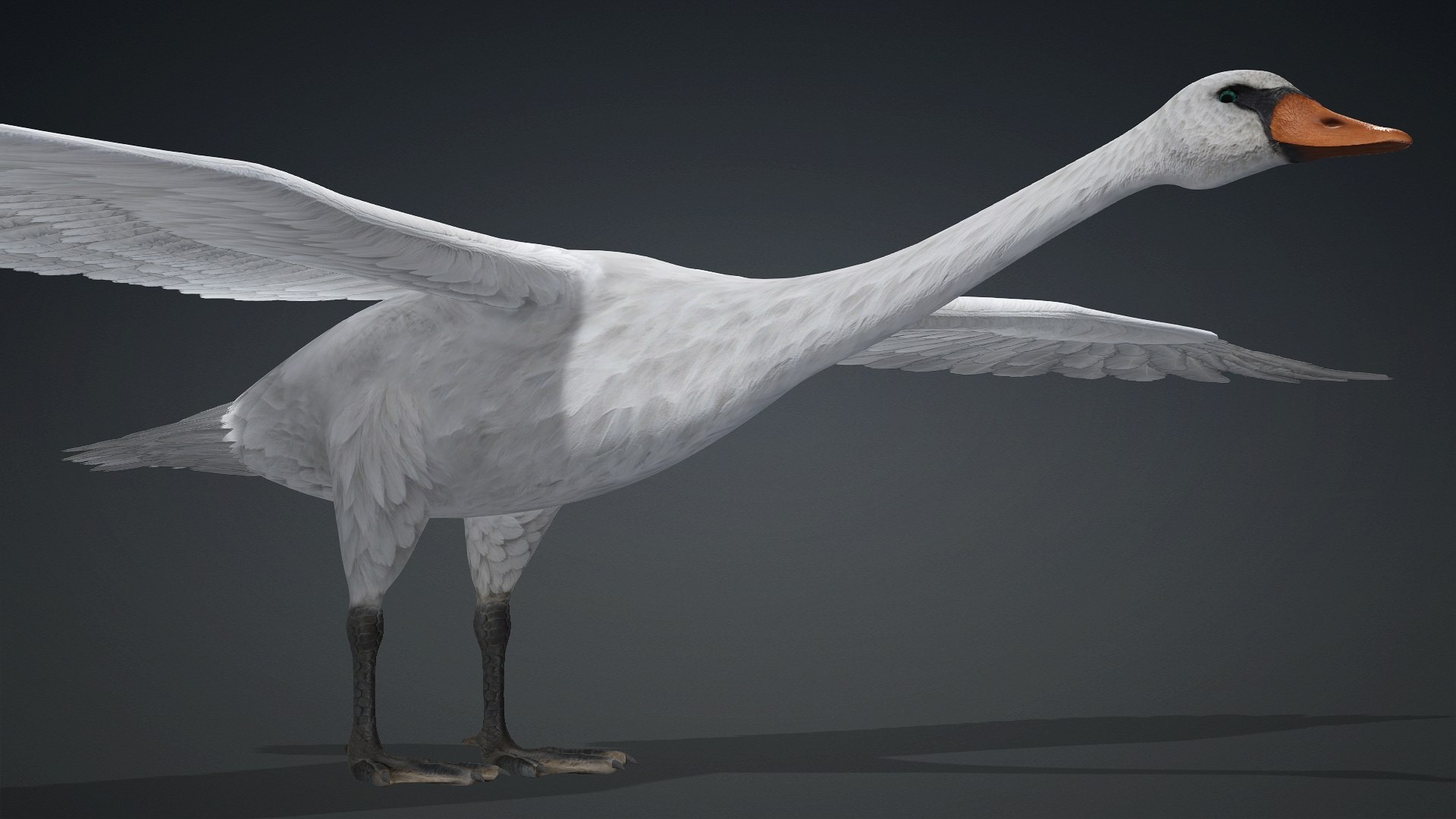 3D Cygnus-A2 https://p.turbosquid.com/ts-thumb/Yv/KrNl5a/2M/preview3/jpg/1793328251/1920x1080/fit_q87/948e9e87b262800800e95bbf946c21a8db3cf9da/preview3.jpg