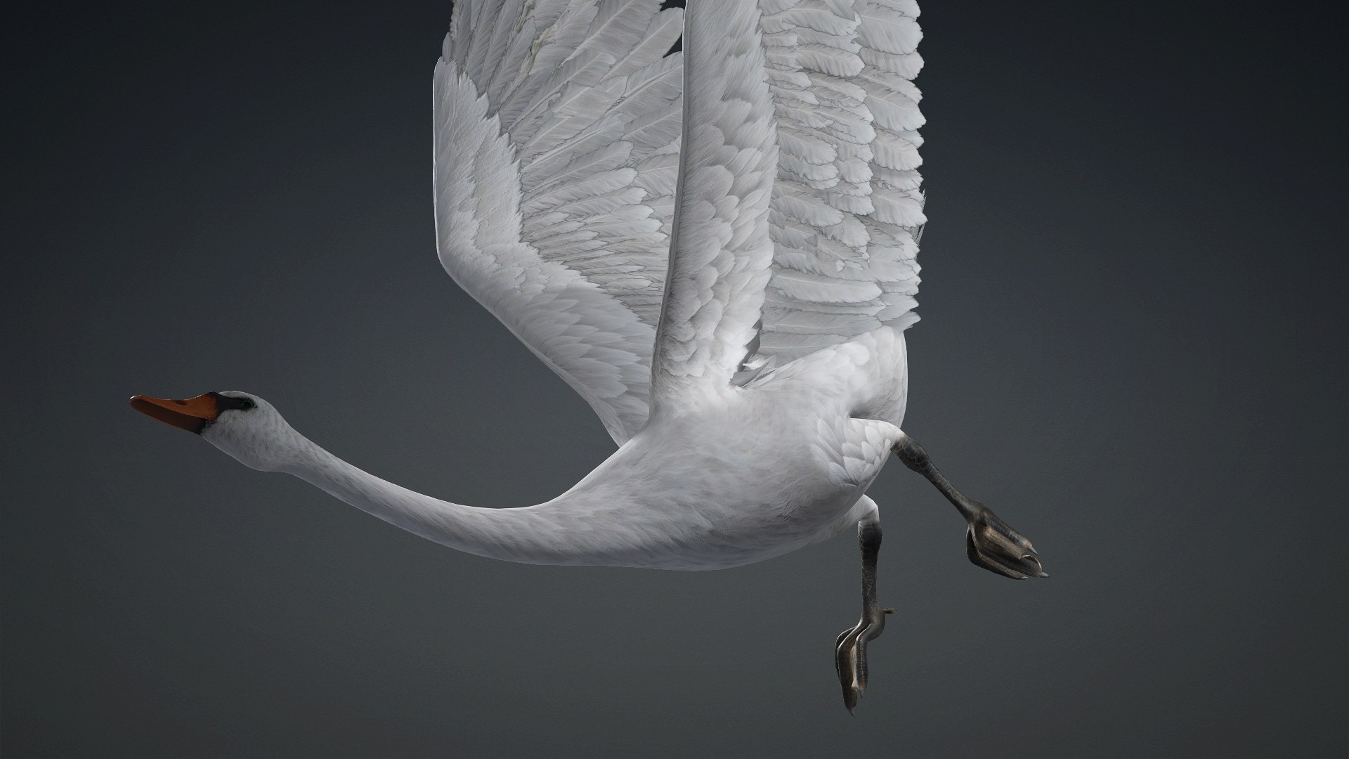 3D Cygnus-A2 https://p.turbosquid.com/ts-thumb/Yv/KrNl5a/4C/preview7/jpg/1793328253/1920x1080/fit_q87/555e0702f2b2e33ba4aea4d2531da1114733feb7/preview7.jpg