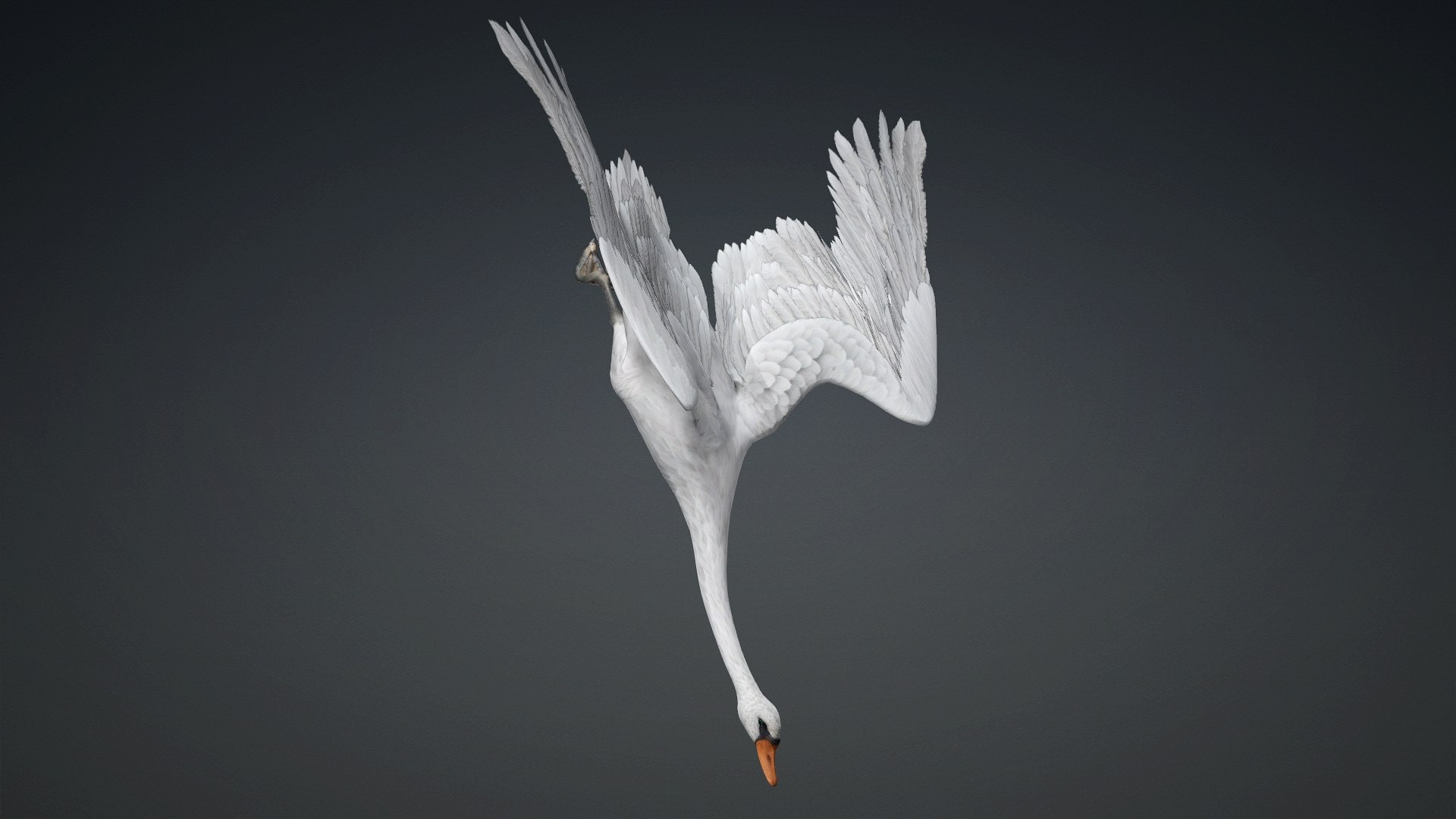3D Cygnus-A2 https://p.turbosquid.com/ts-thumb/Yv/KrNl5a/7b/preview4/jpg/1793328252/1920x1080/fit_q87/8835f0998f5b2af5dc769acbb5ca98e7ffcc0e04/preview4.jpg