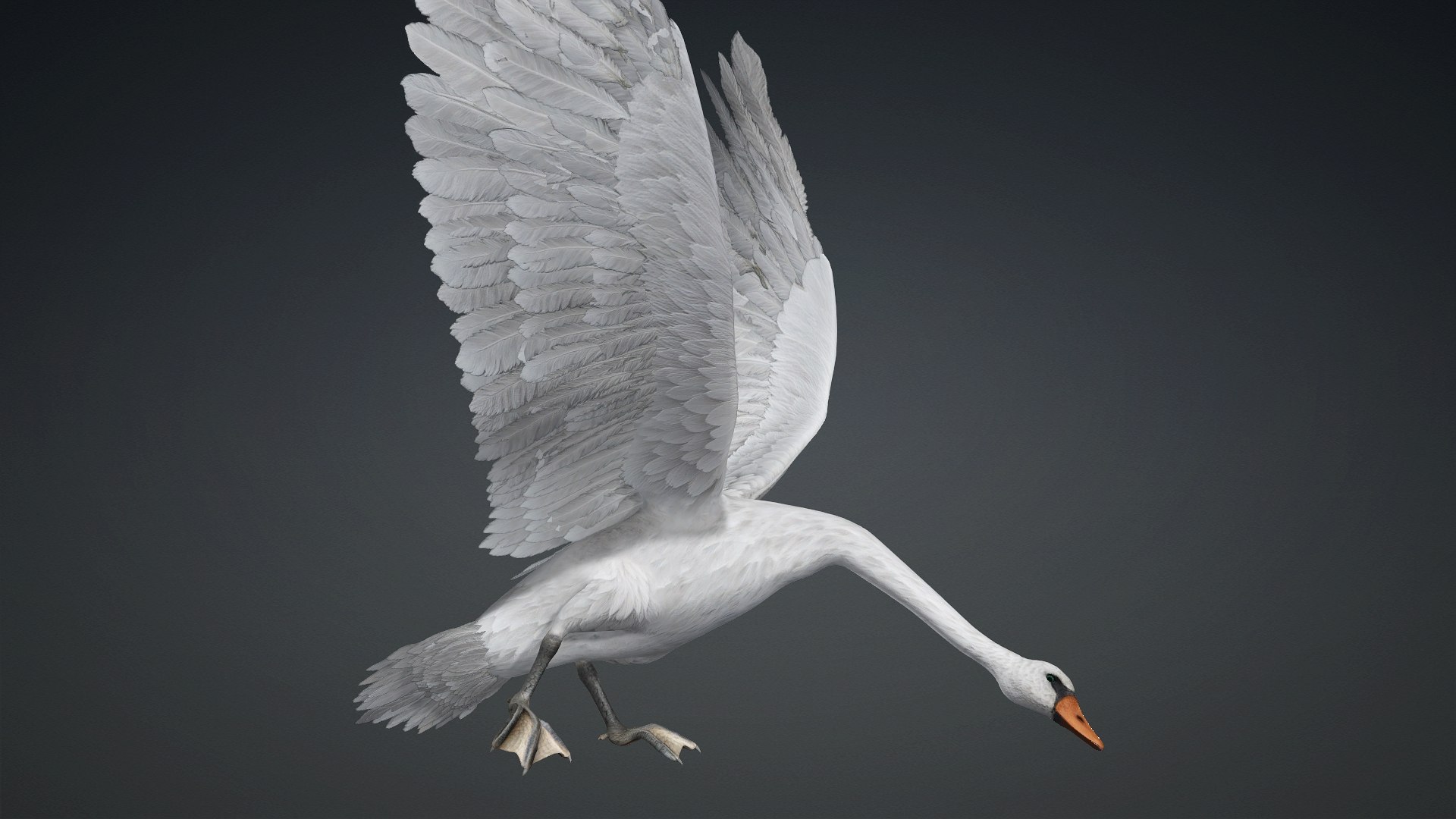 3D Cygnus-A2 https://p.turbosquid.com/ts-thumb/Yv/KrNl5a/Ex/preview10/jpg/1793328254/1920x1080/fit_q87/7aee54179c2fcf7b3084a0eb173eafa6f5d33817/preview10.jpg