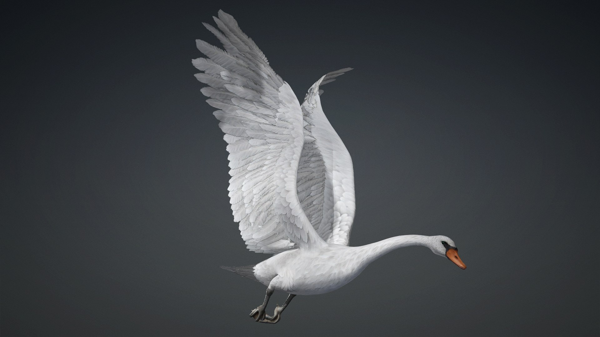 3D Cygnus-A2 https://p.turbosquid.com/ts-thumb/Yv/KrNl5a/OL/preview14/jpg/1793328257/1920x1080/fit_q87/5b37e44c3d7ce5fd744ae9bf897cb62f7f179c7d/preview14.jpg