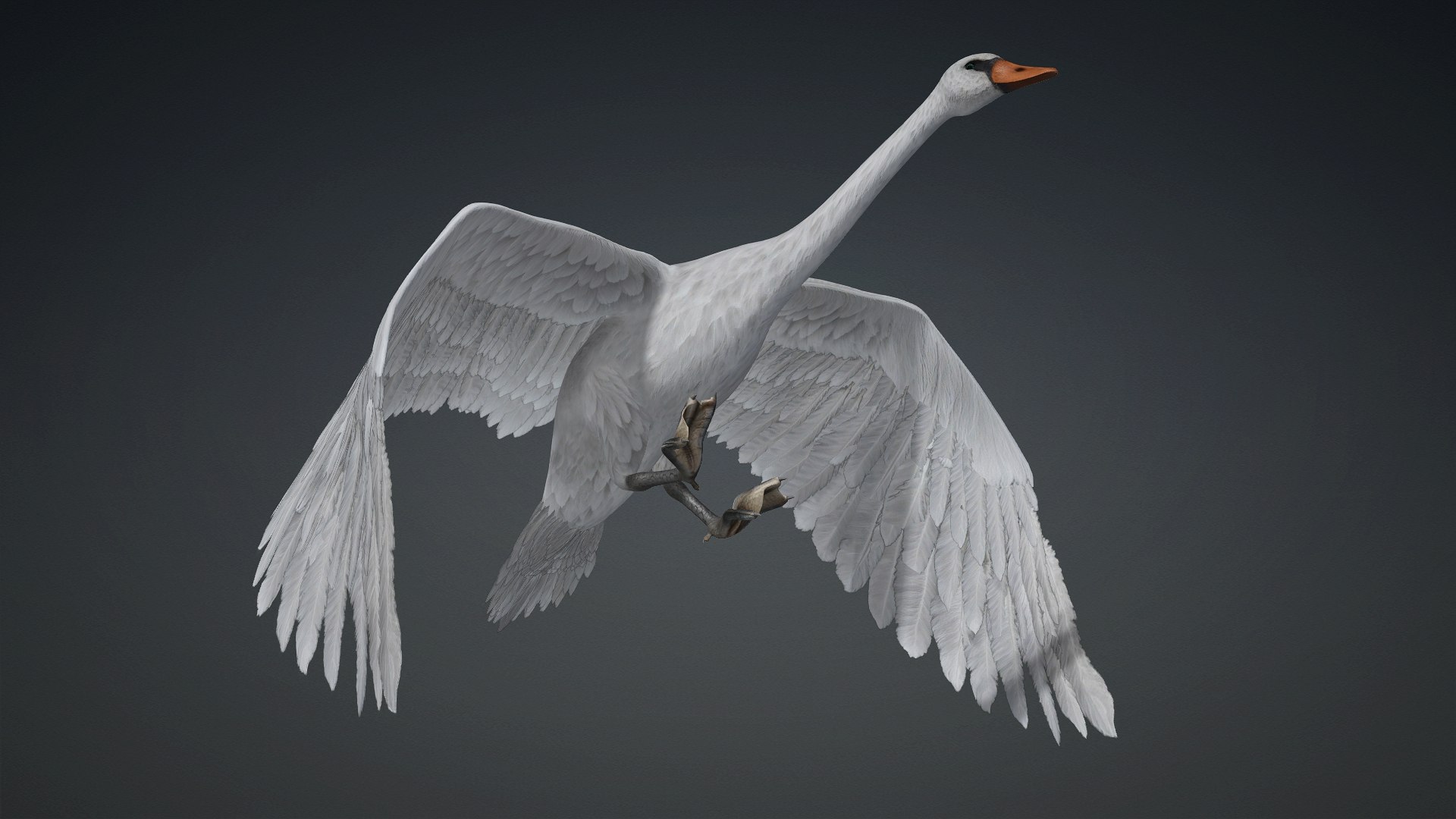 3D Cygnus-A2 https://p.turbosquid.com/ts-thumb/Yv/KrNl5a/RX/preview8/jpg/1793328254/1920x1080/fit_q87/7b25d557b7f9a4ff3b05ae826d64c7c668c3b8c0/preview8.jpg