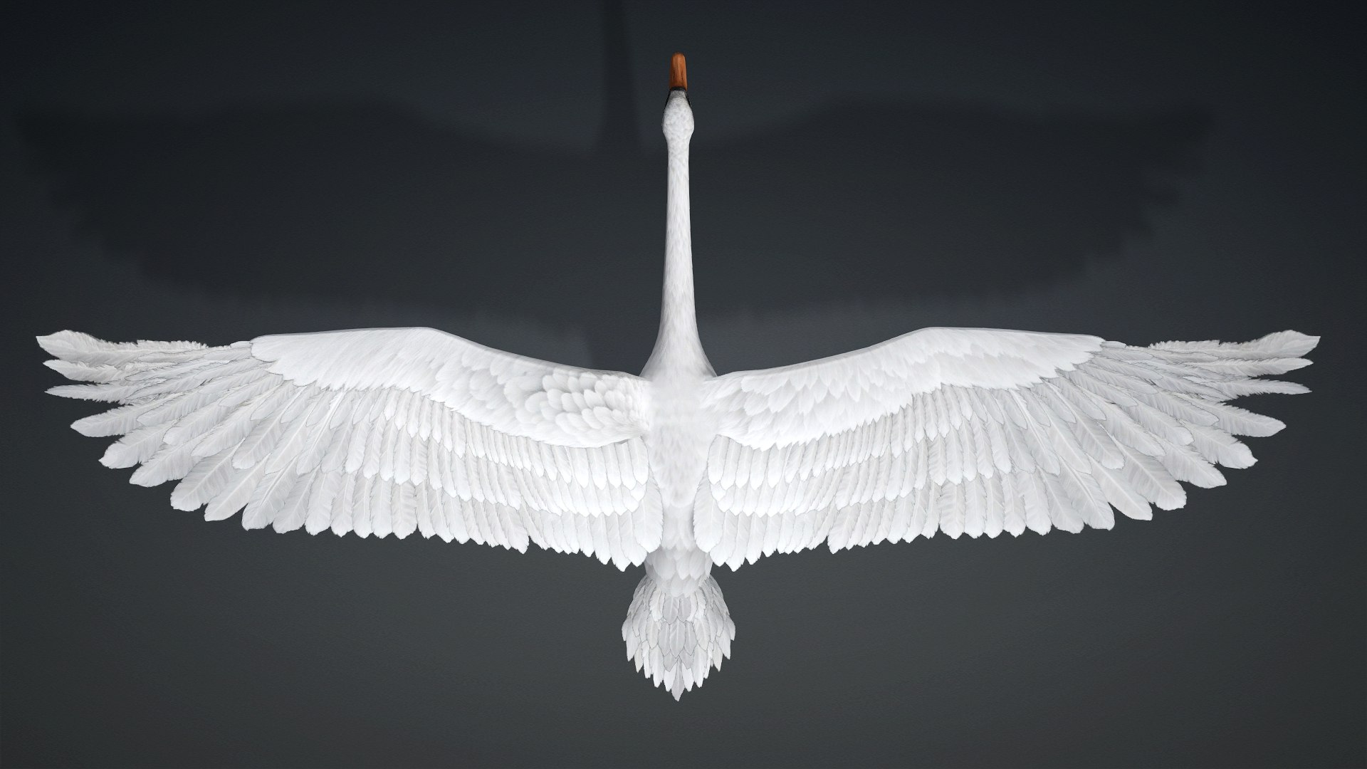 3D Cygnus-A2 https://p.turbosquid.com/ts-thumb/Yv/KrNl5a/Va/preview1/jpg/1793328250/1920x1080/fit_q87/2506af1c1f0304d22d103f0e0cdf6b6d707dc774/preview1.jpg