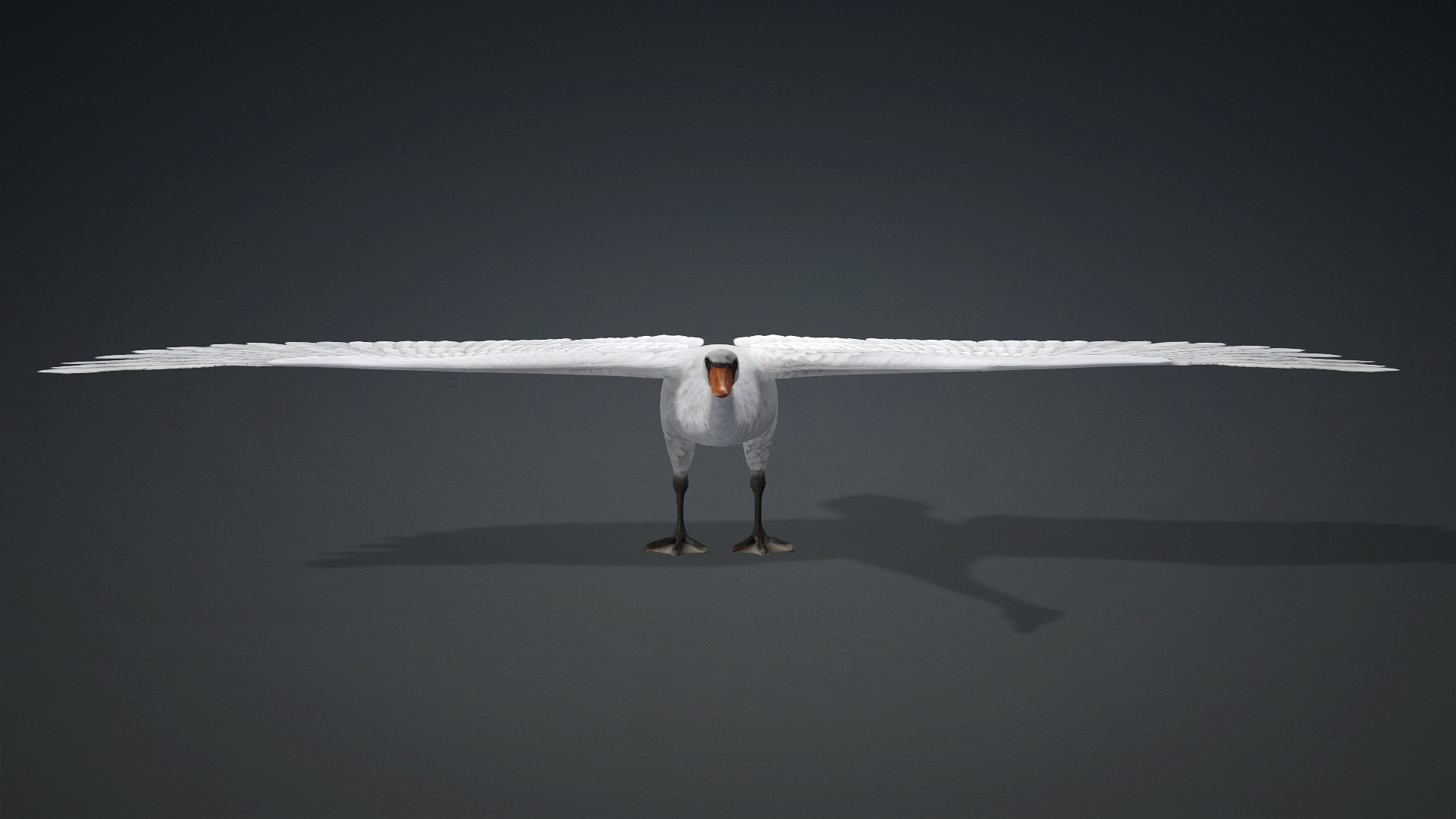 3D Cygnus-A2 https://p.turbosquid.com/ts-thumb/Yv/KrNl5a/YU/preview2/jpg/1793328250/1920x1080/fit_q87/25d94ee0d2d208c8554389408a5ec007e9ebaa06/preview2.jpg