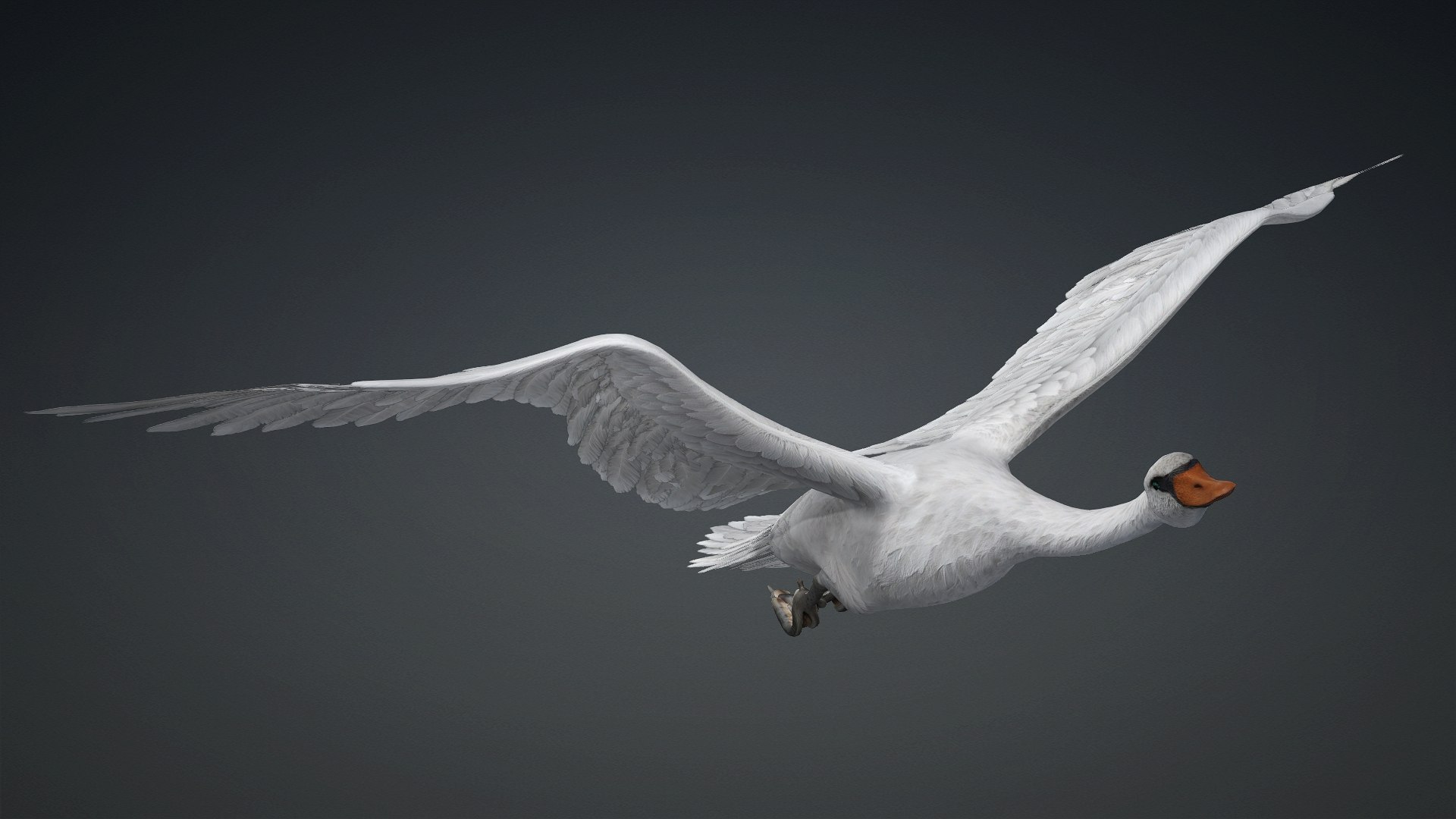 3D Cygnus-A2 https://p.turbosquid.com/ts-thumb/Yv/KrNl5a/Yc/preview15/jpg/1793328257/1920x1080/fit_q87/2c8cad637630774f476136afec69849e02aa97c8/preview15.jpg