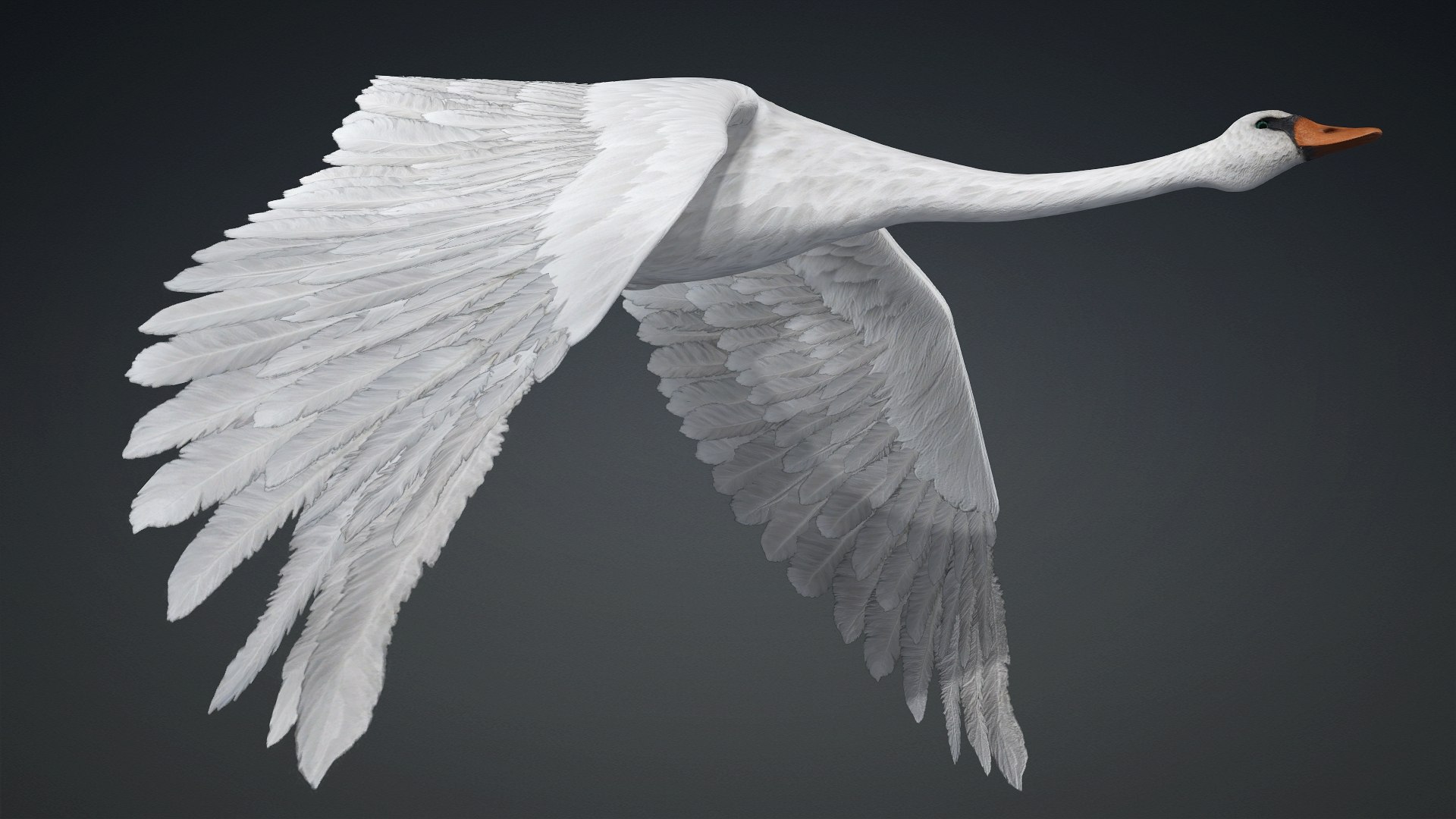 3D Cygnus-A2 https://p.turbosquid.com/ts-thumb/Yv/KrNl5a/l4/preview11/jpg/1793328255/1920x1080/fit_q87/3409178bc9d65837186f85795b72510a6d8cdd3a/preview11.jpg