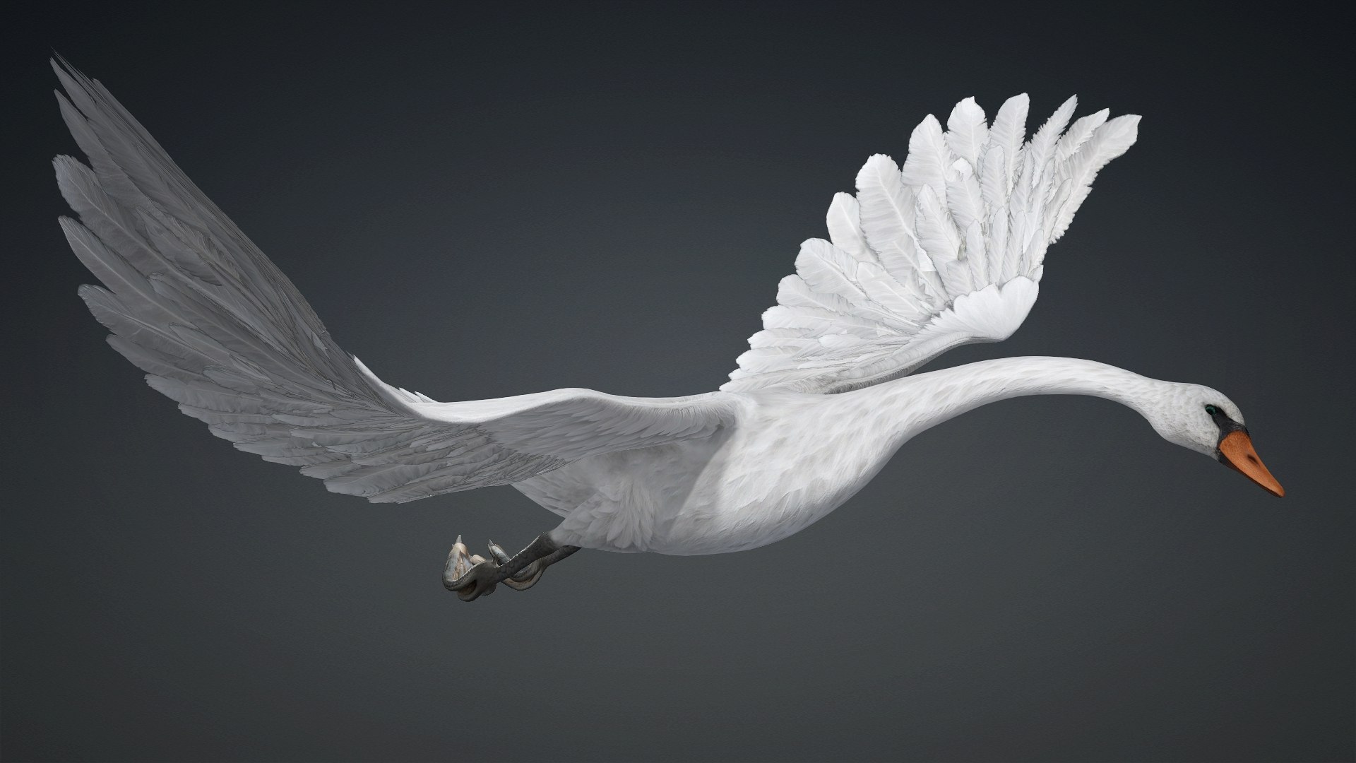 3D Cygnus-A2 https://p.turbosquid.com/ts-thumb/Yv/KrNl5a/mC/preview13/jpg/1793328256/1920x1080/fit_q87/f3fba03896f57ccae675301b97a3d59133c4f1ca/preview13.jpg