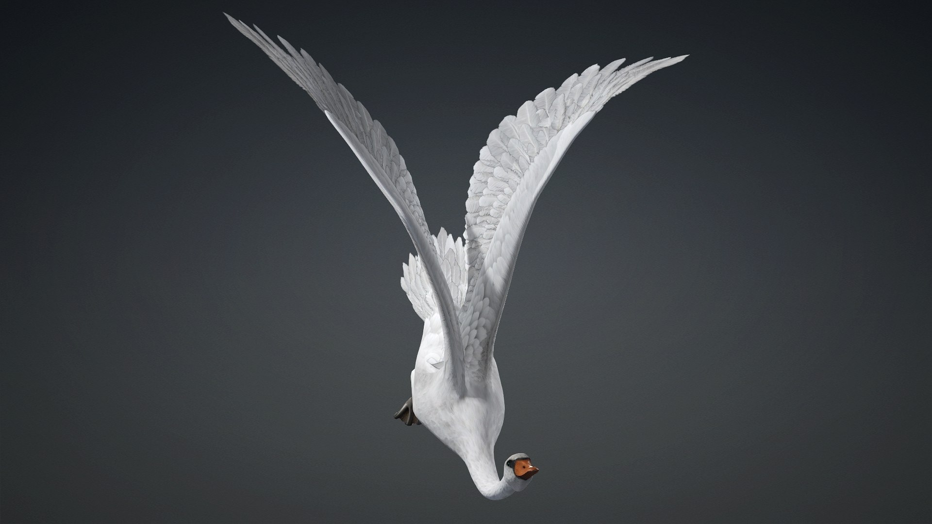 3D Cygnus-A2 https://p.turbosquid.com/ts-thumb/Yv/KrNl5a/tN/preview6/jpg/1793328253/1920x1080/fit_q87/41b7bf61725d866afdd1553c81fe5da6194f0032/preview6.jpg