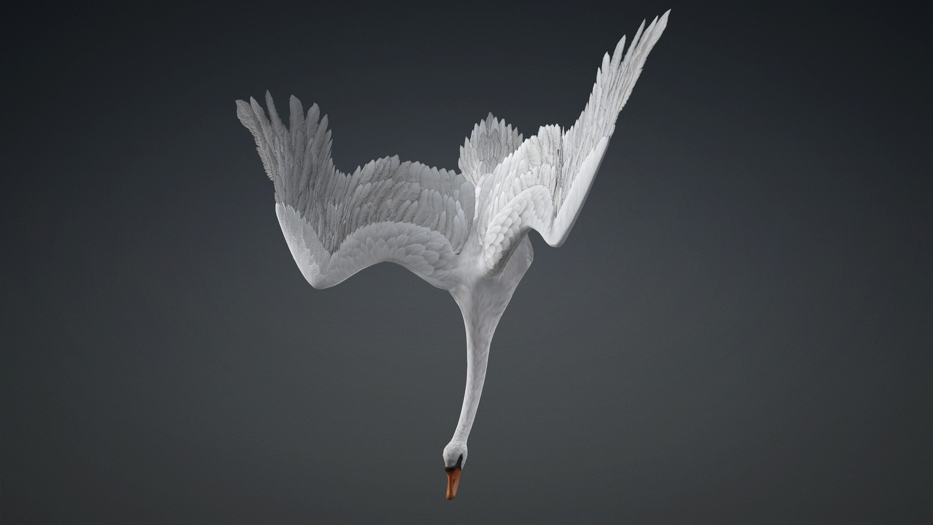 3D Cygnus-A2 https://p.turbosquid.com/ts-thumb/Yv/KrNl5a/vP/preview5/jpg/1793328252/1920x1080/fit_q87/0beabbb63c6c5477514b2ca523647c2e6e02cf16/preview5.jpg