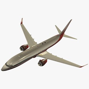 Boeing 737-800 Private Livery