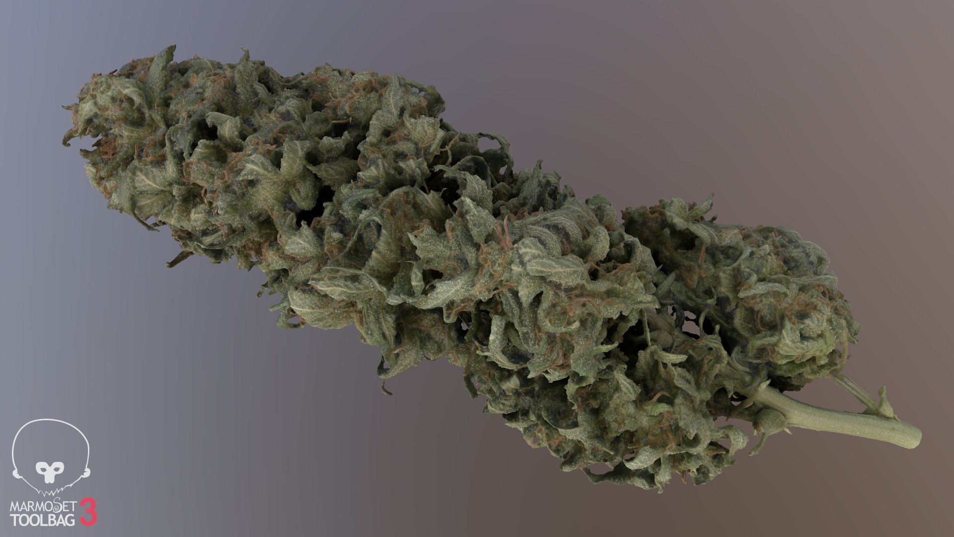 cannabis cola model https://p.turbosquid.com/ts-thumb/Yv/TWOVew/NQ/screenshot240/png/1617058878/1920x1080/fit_q87/94df0f27c6eefe62eee1e362bf4cec0e8dc7c7a1/screenshot240.jpg