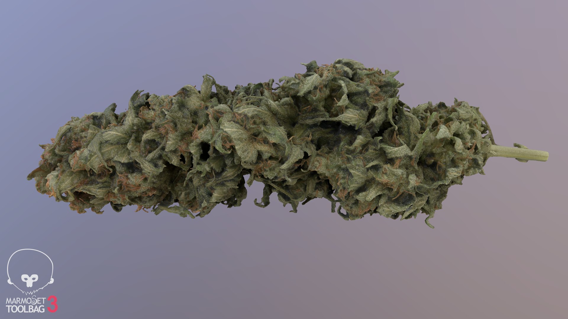 cannabis cola model https://p.turbosquid.com/ts-thumb/Yv/TWOVew/QD/screenshot241/png/1617058852/1920x1080/fit_q87/70b10d9192852a642cc87cf131be684c7ea6aa53/screenshot241.jpg